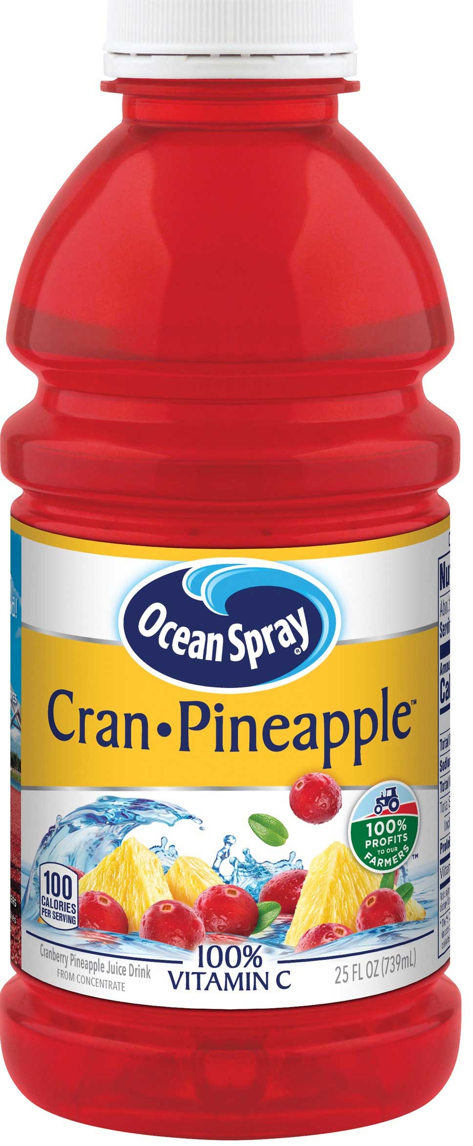 Ocean Spray Cran Pineapple Juice Drink, 25 Fluid Ounce -- 12 per case