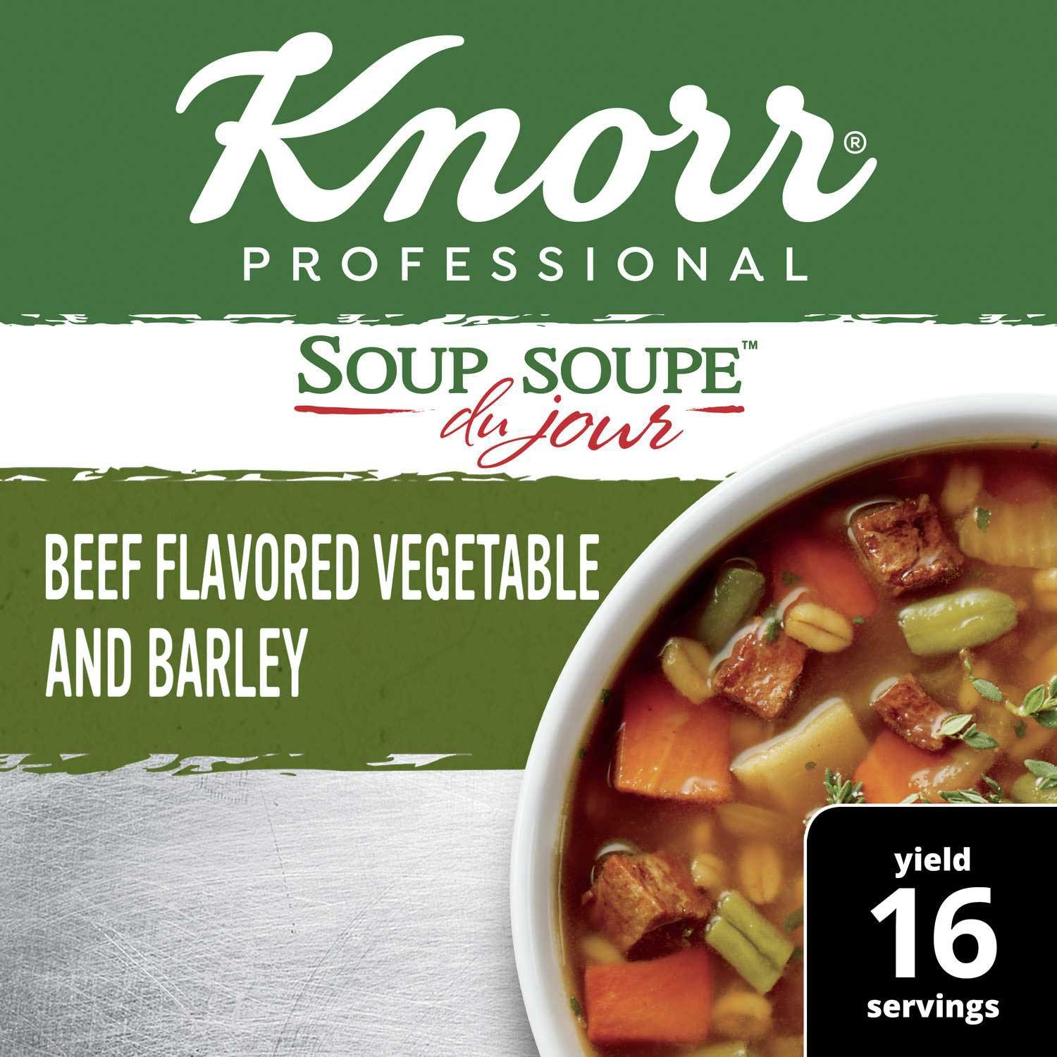 Single Knorr Professional Soup du Jour Beef Vegetable and Barley Soup Mix, 13.9 Ounce
