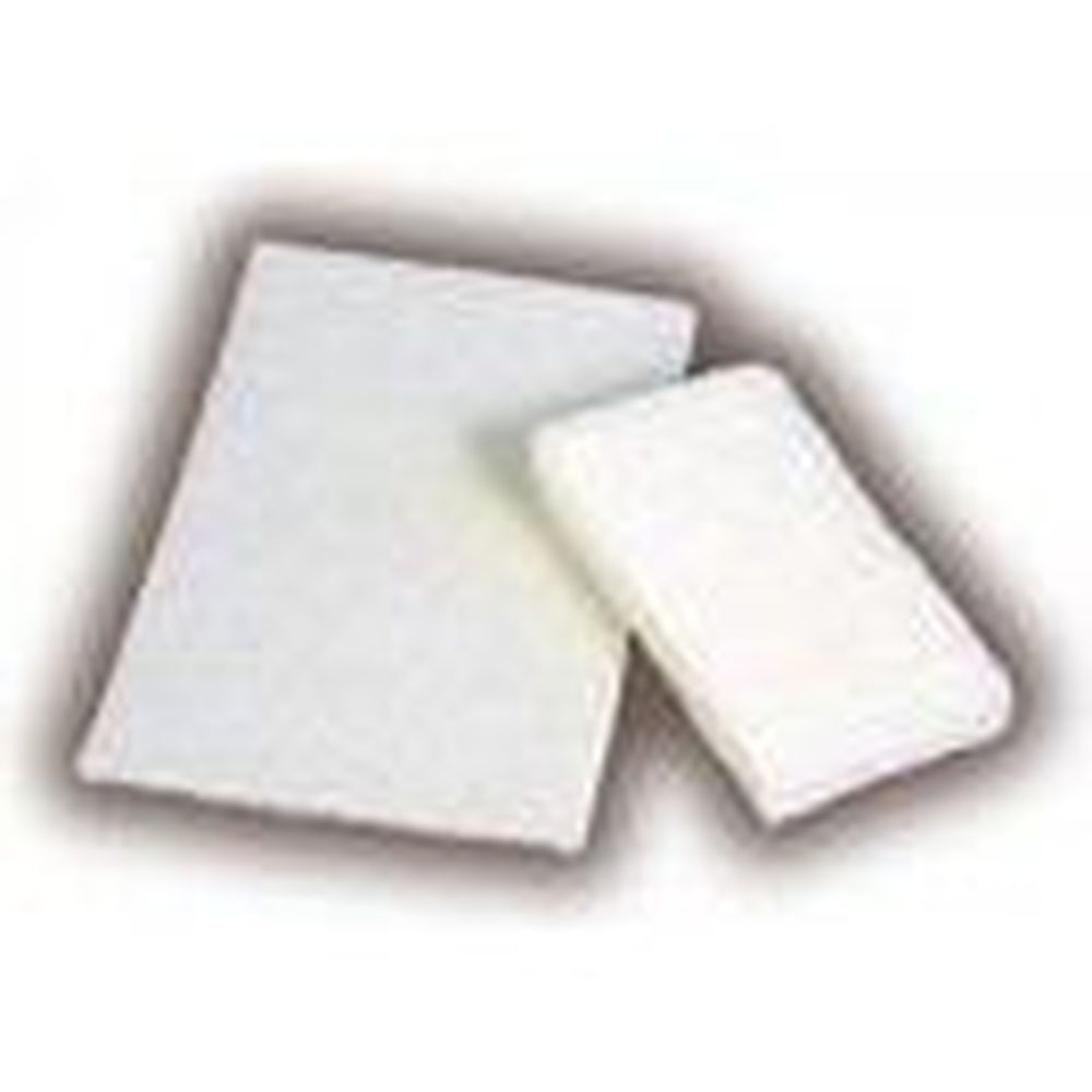 ACS White Fine Non-Abrasive Scrub Pad, 6 x 9 inch -- 60 per case.
