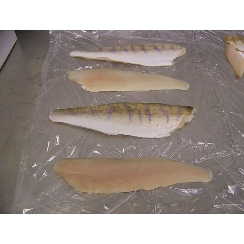 Commodity 2-4 Ounce Pike Perch, 11 Pound
