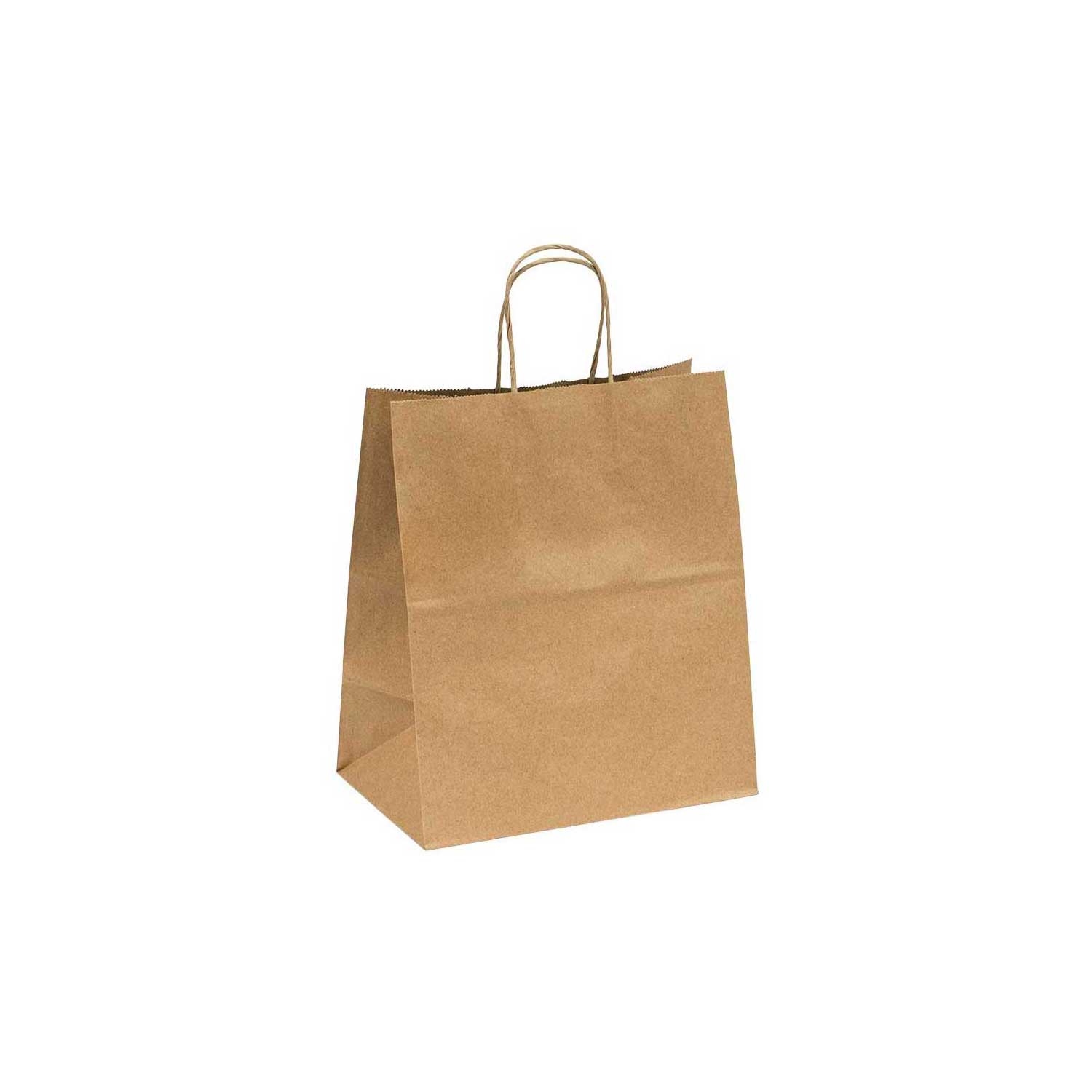 Inno-Pak Twist Handle Paper Carry Out Bag, 10.2 x 6.5 x 12 inch -- 250 per case