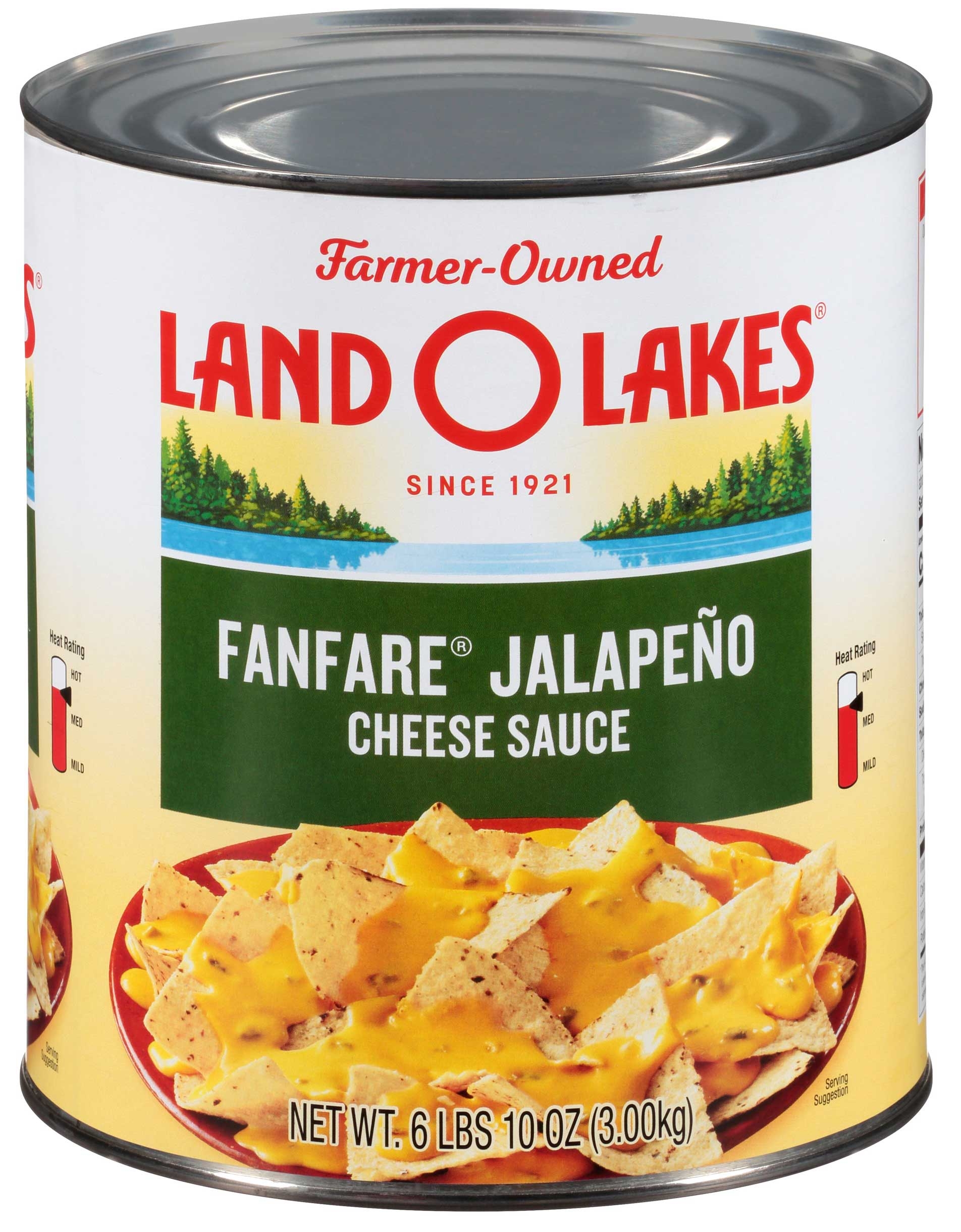 Land O Lakes Fanfare Jalapeno Cheese Sauce, 6 Pound -- 6 per case