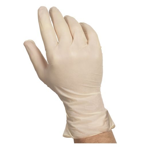 Companions Essentials Large Powdered Latex Gloves, 100 count -- 10 per case