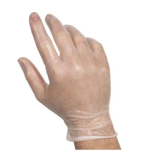 Companions Essentials Large Lightly Powdered Vinyl Gloves, 100 count -- 10 per case
