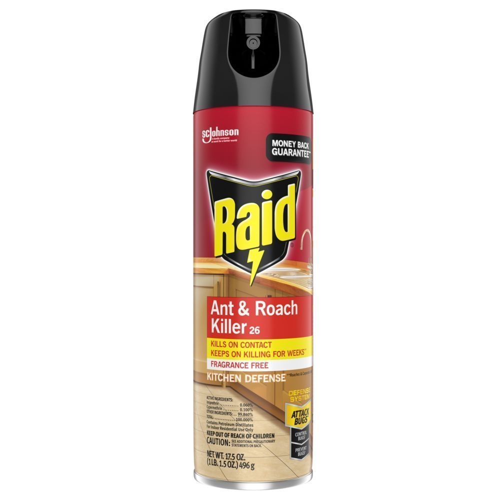 Raid No Fragrance Ant and Roach Killer, 17.5 Ounce Aerosol -- 12 per case.