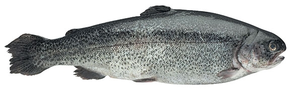 Clear Springs Dressed Rainbow Trout, 10 Ounce.