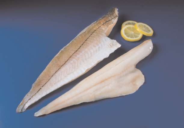 Icelandic Seafood Skin On Haddock Fillet, 20 Pound.