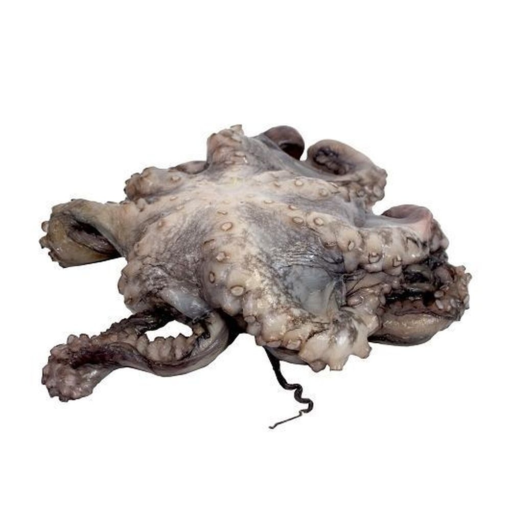 Commodity 2-4 Individually Poly Wrapped Whole Octopus, 30 Pound