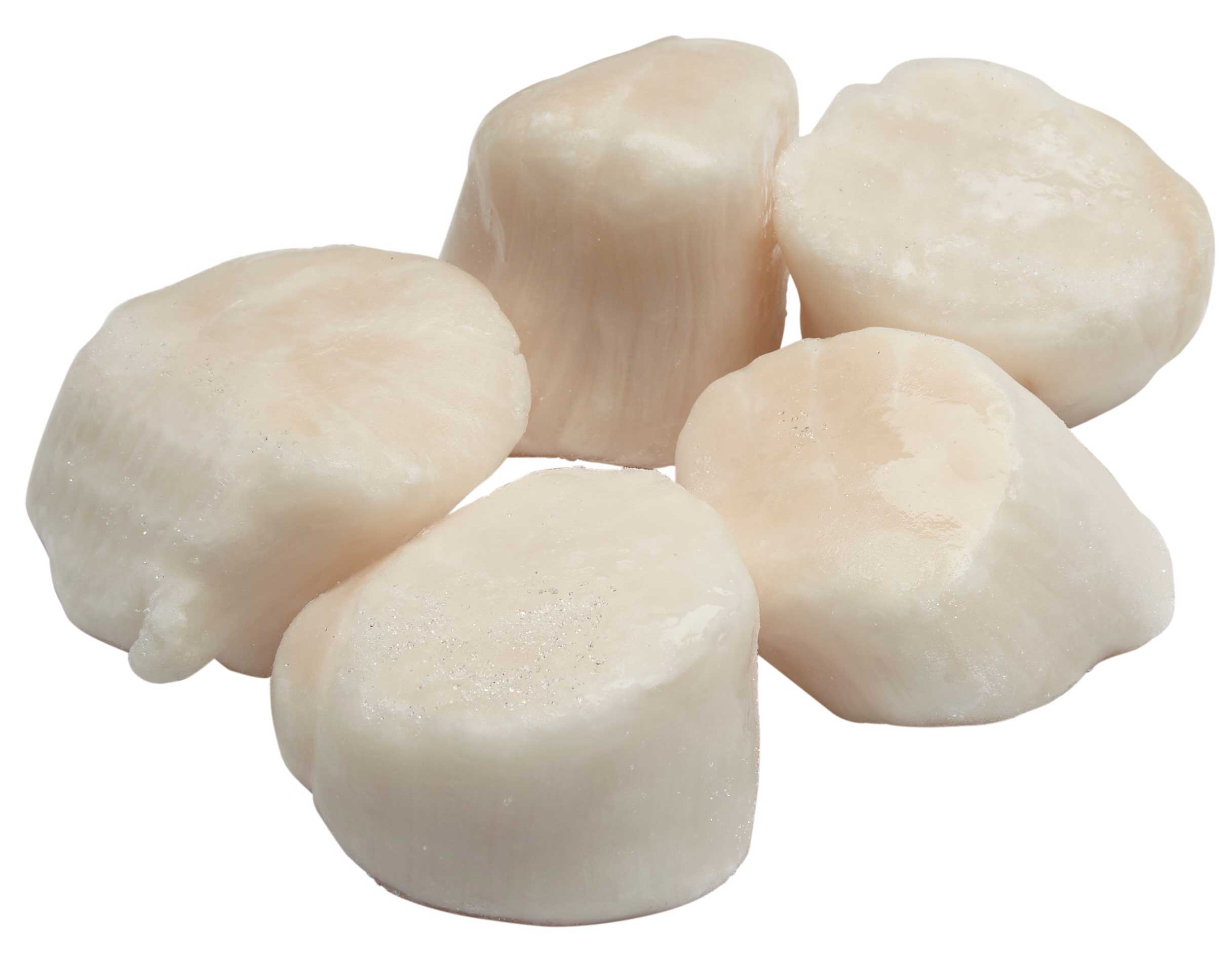 Sea Legend Black U/10 IQF Sea Scallop, 5 Pound -- 2 per case