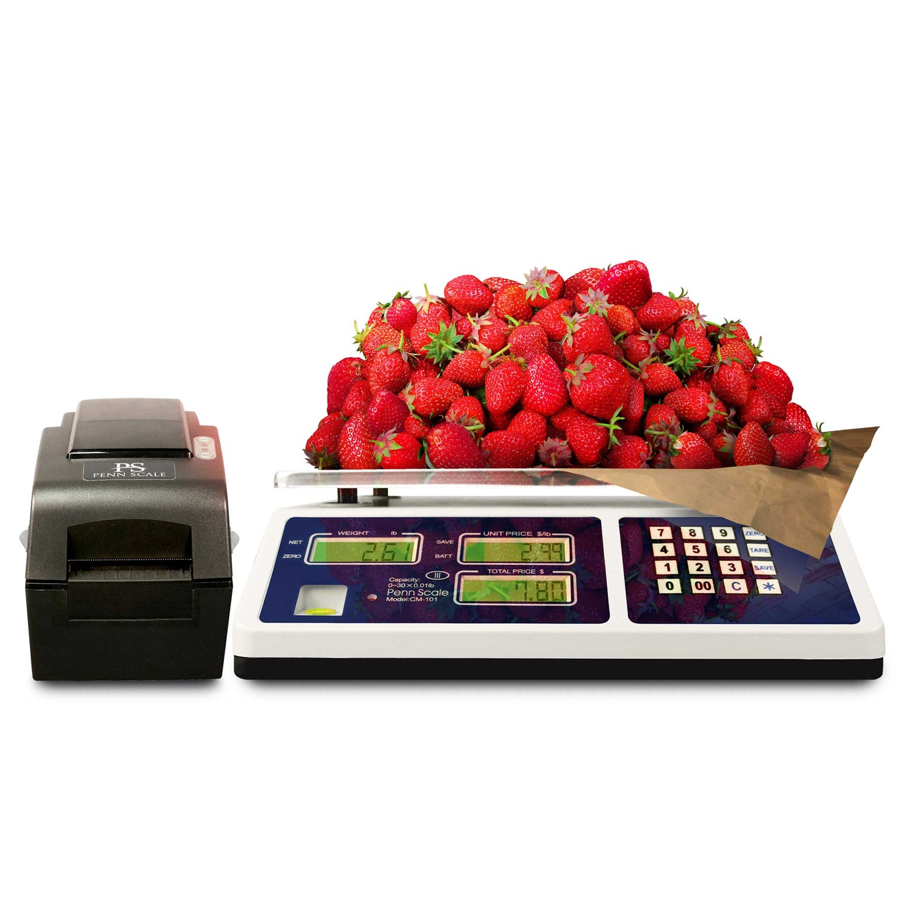 Penn Scale Price Computing Scale With Printer, 30 lb