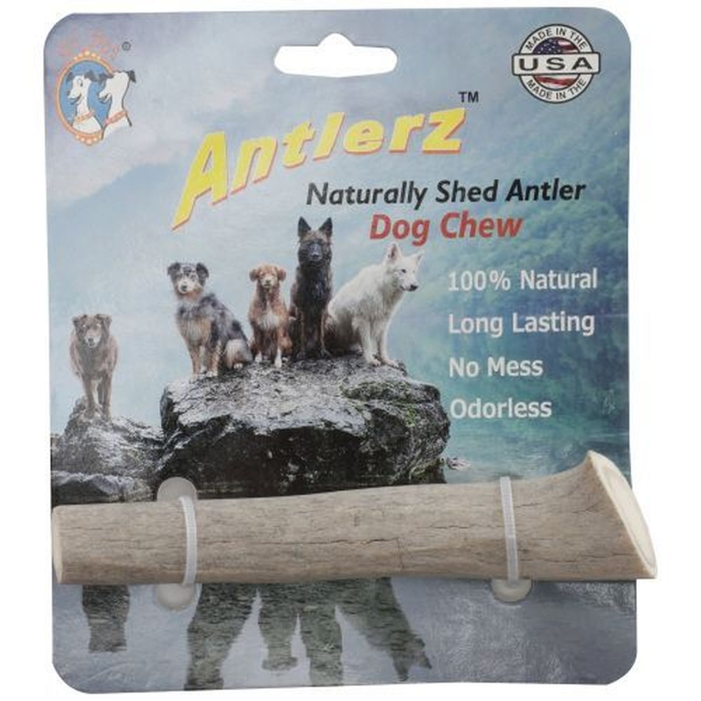 QT Dog Antlerz Small Dog Chew -- 12 per case