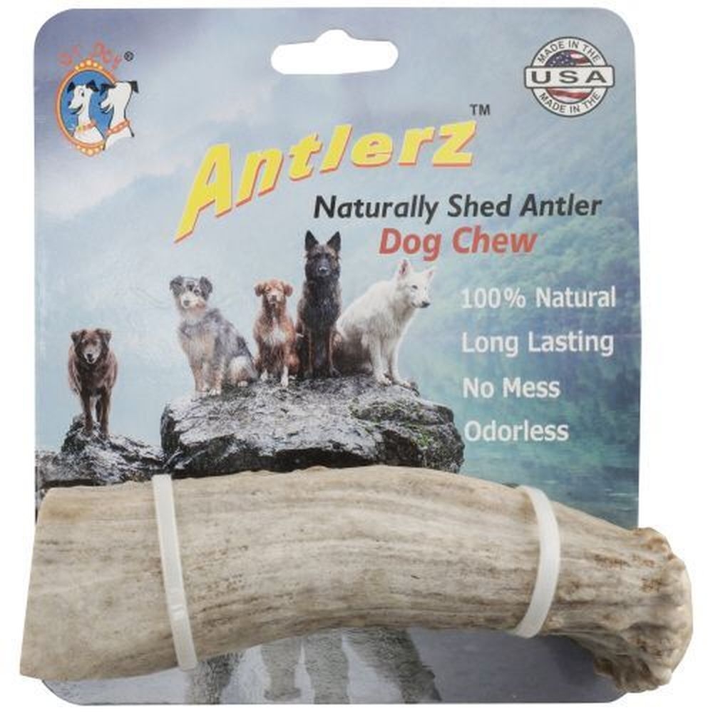 QT Dog Antlerz Large Dog Chew -- 12 per case