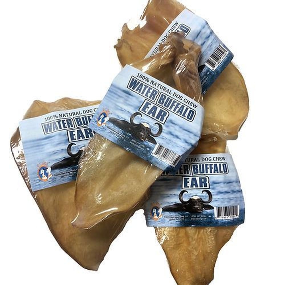 QT Dog Water Buffalo Ear Chews Dog Treat, 20 count -- 15 per case