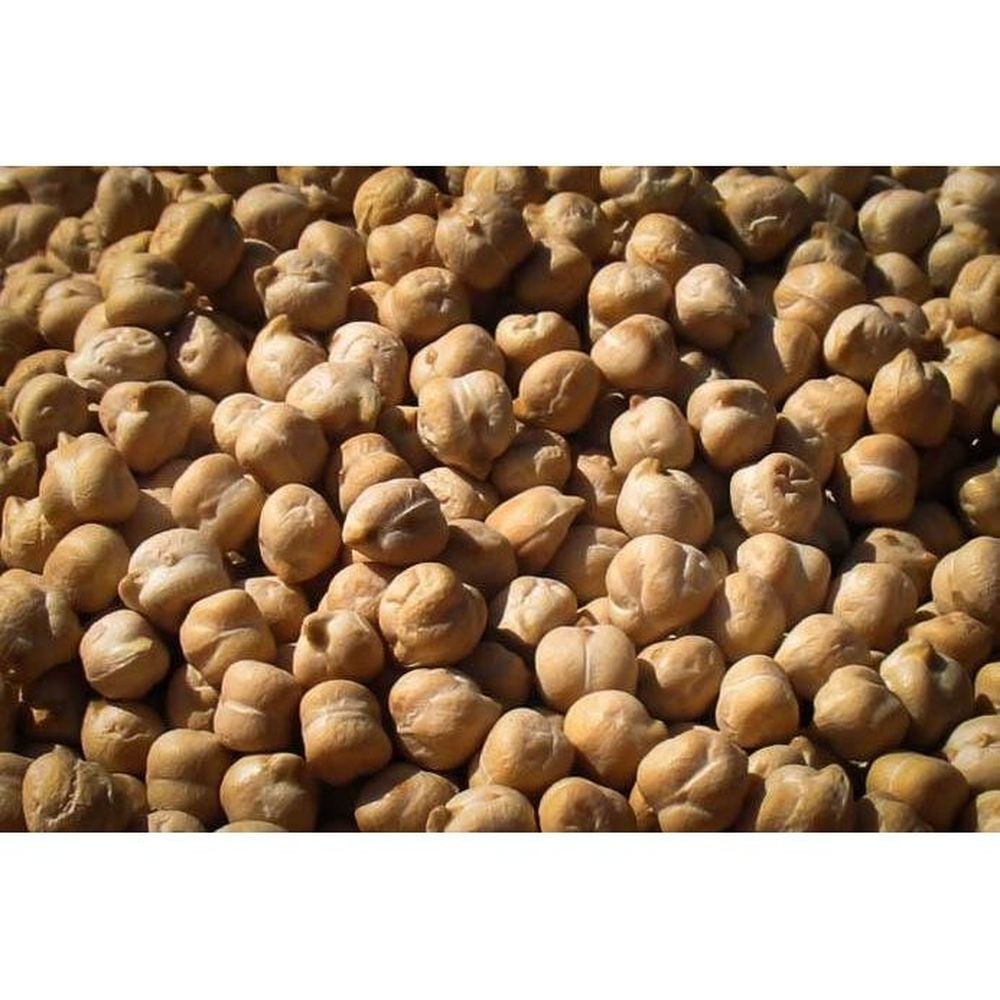 Rancho Gordo Garbanzo Bean, 16 Ounce -- 12 per case