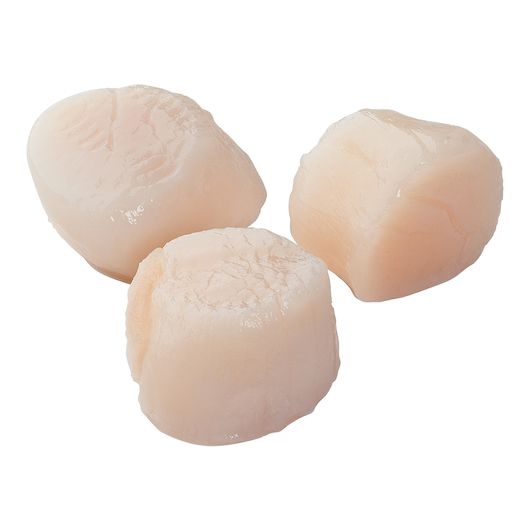 Sea Legend Green 10 to 20 Count 25 Percent Water Added Sea Scallops, 5 Pound -- 2 per case