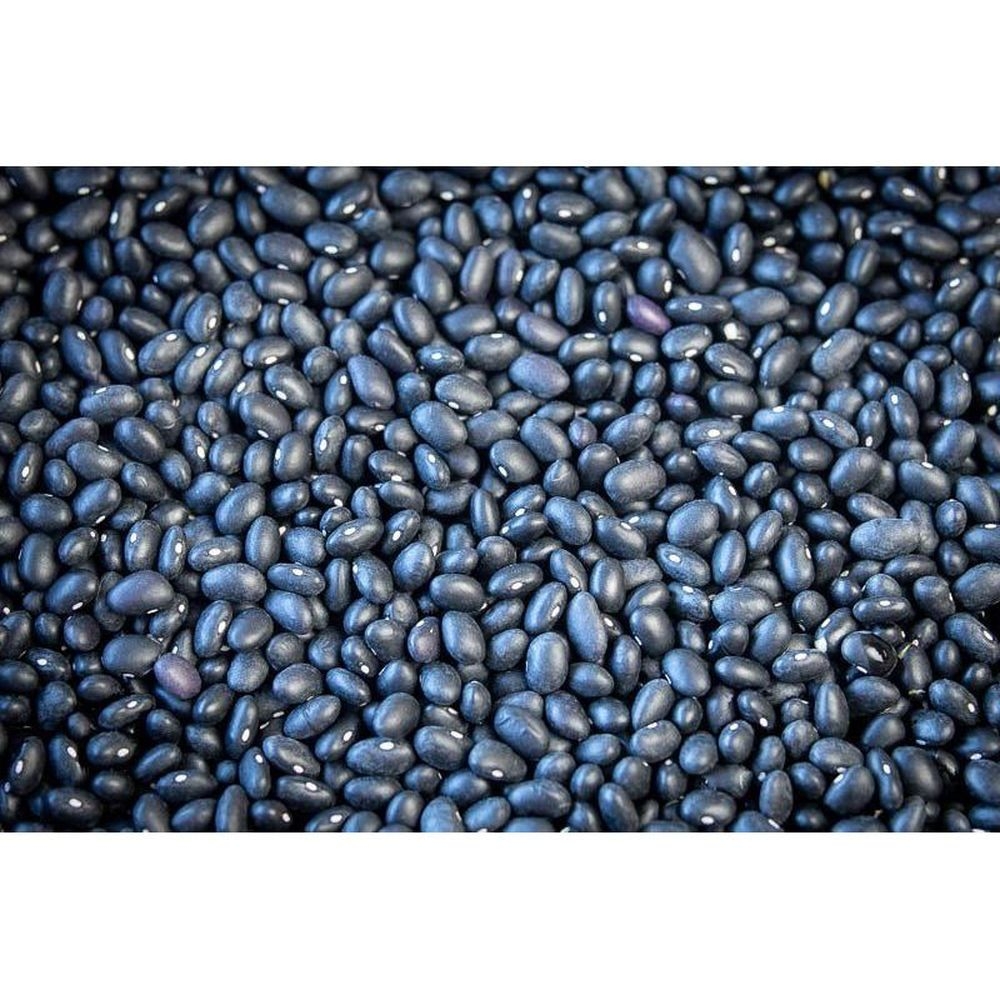 Rancho Gordo Midnight Black Bean, 16 Ounce -- 12 per case