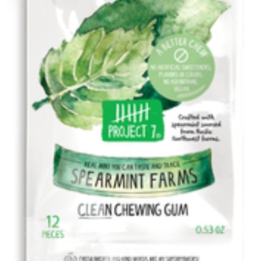 Project 7 Everest Spearmint Farms Clean Chewing Gum - 12 count per pack -- 12 packs per case
