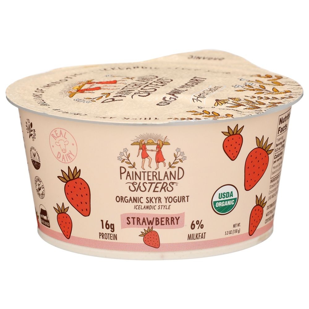 Painterland Sisters Organic Strawberry Skyr Yogurt, 5.3 Ounce -- 8 per case