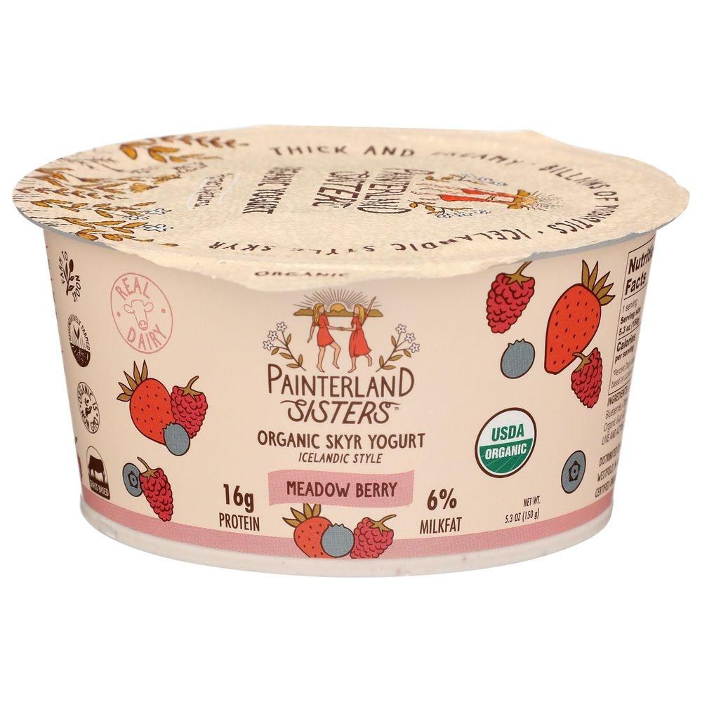 Painterland Sisters Organic Meadow Berry Skyr Yogurt, 5.3 Ounce -- 8 per case