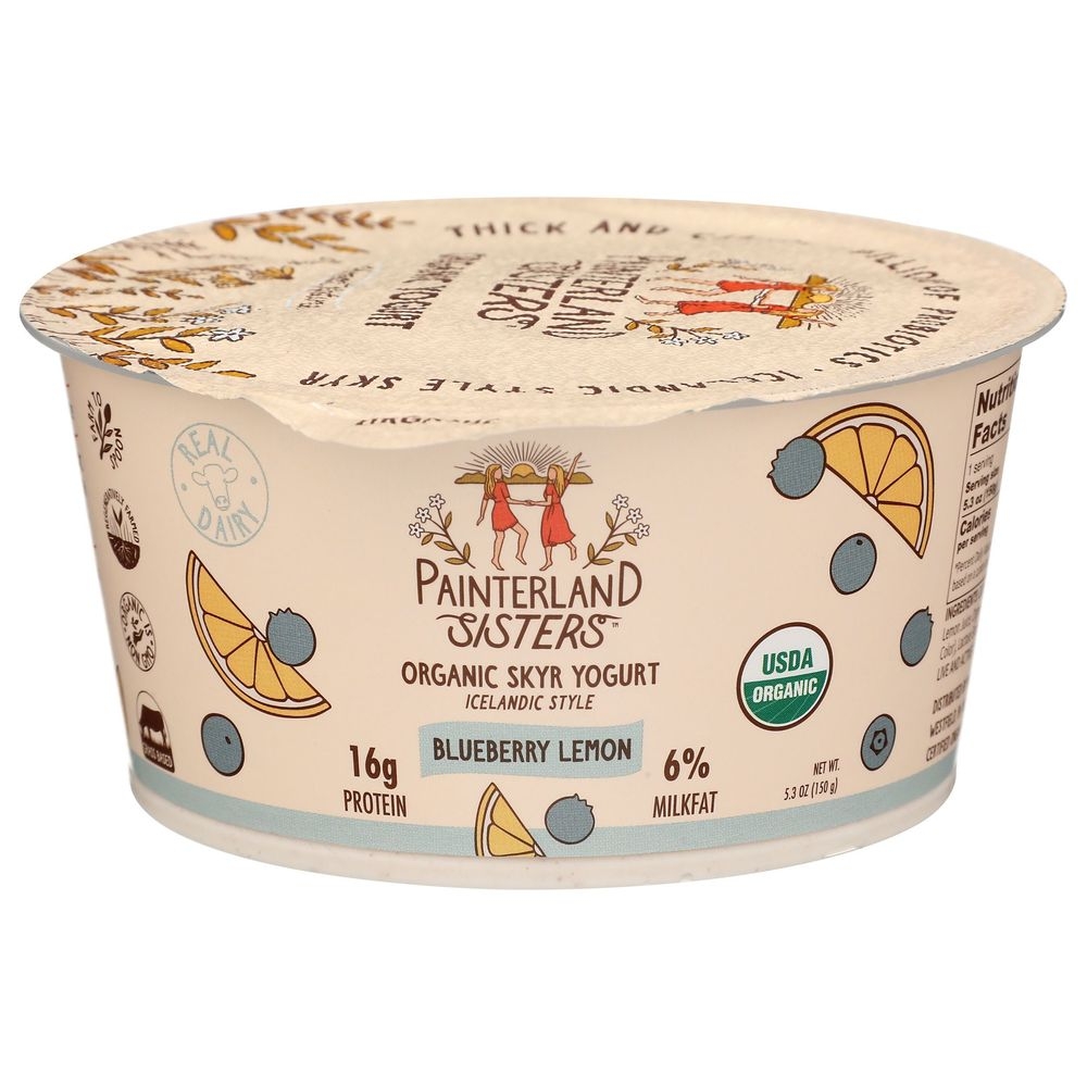 Painterland Sisters Organic Blueberry Lemon Skyr Yogurt, 5.3 Ounce -- 8 per case