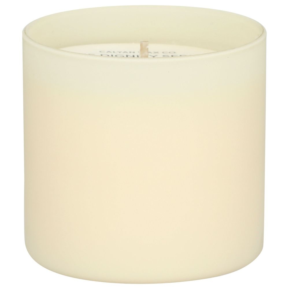 Calyan Wax Dignity Series Home Plus Holiday Scented Soy Candle, 5.3 Ounce