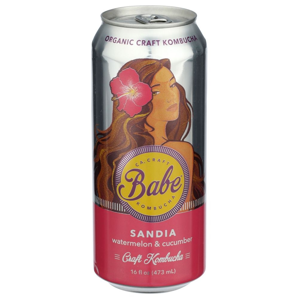 Babe Kombucha Watermelon and Cucumber Sandia Kombucha, 16 Fluid Ounce -- 12 per case