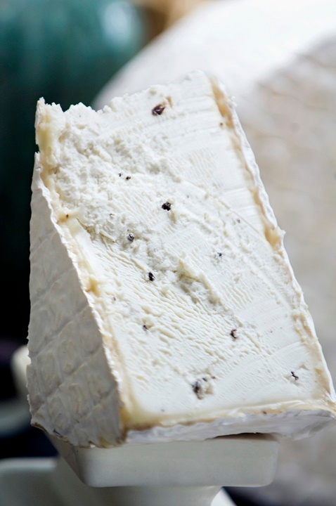 Cypress Grove Truffle Tremor Mini Goat Cheese, 1 Pound -- 2 per case.