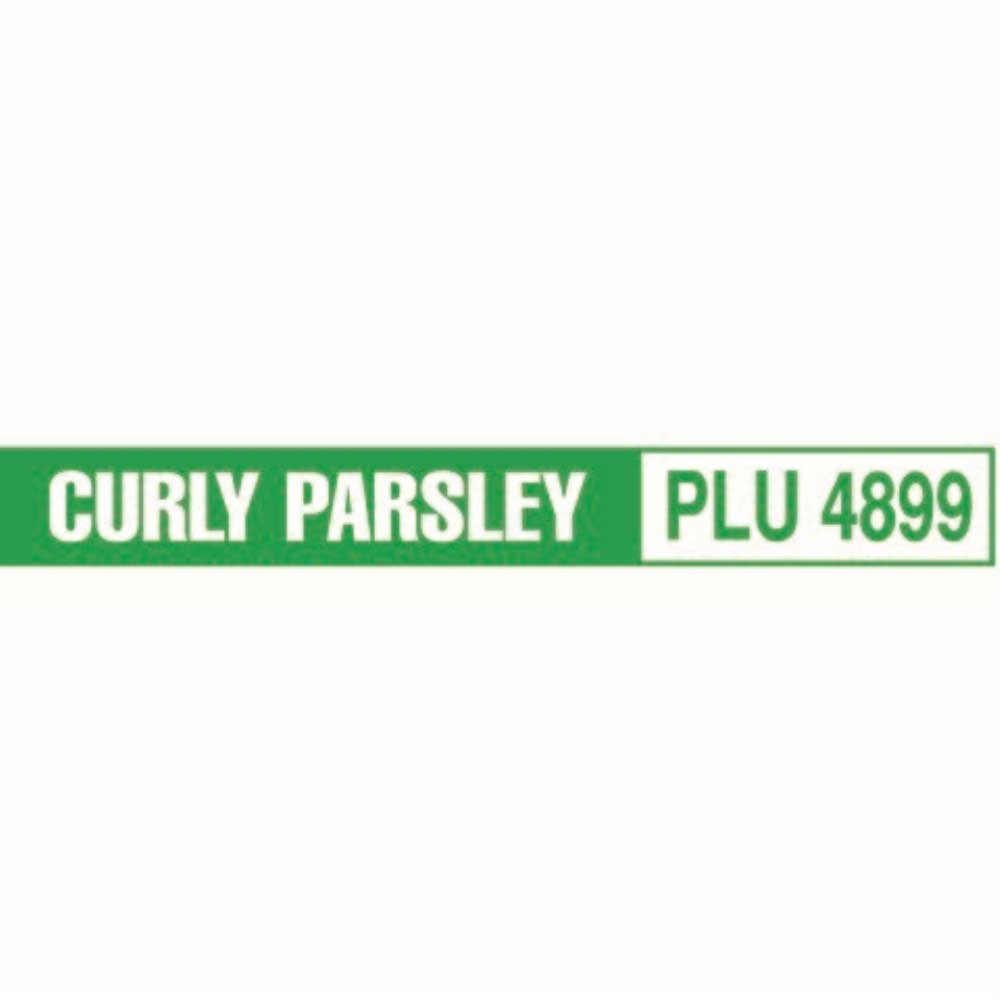 Twistems Green Curly Parsley Plu 4899 Vp Tie, 8 x 0.38 inch - 1000 per box
