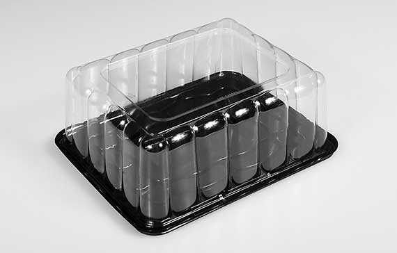 Panoramic Black Base Clear Dome Lid Container -- 100 per case