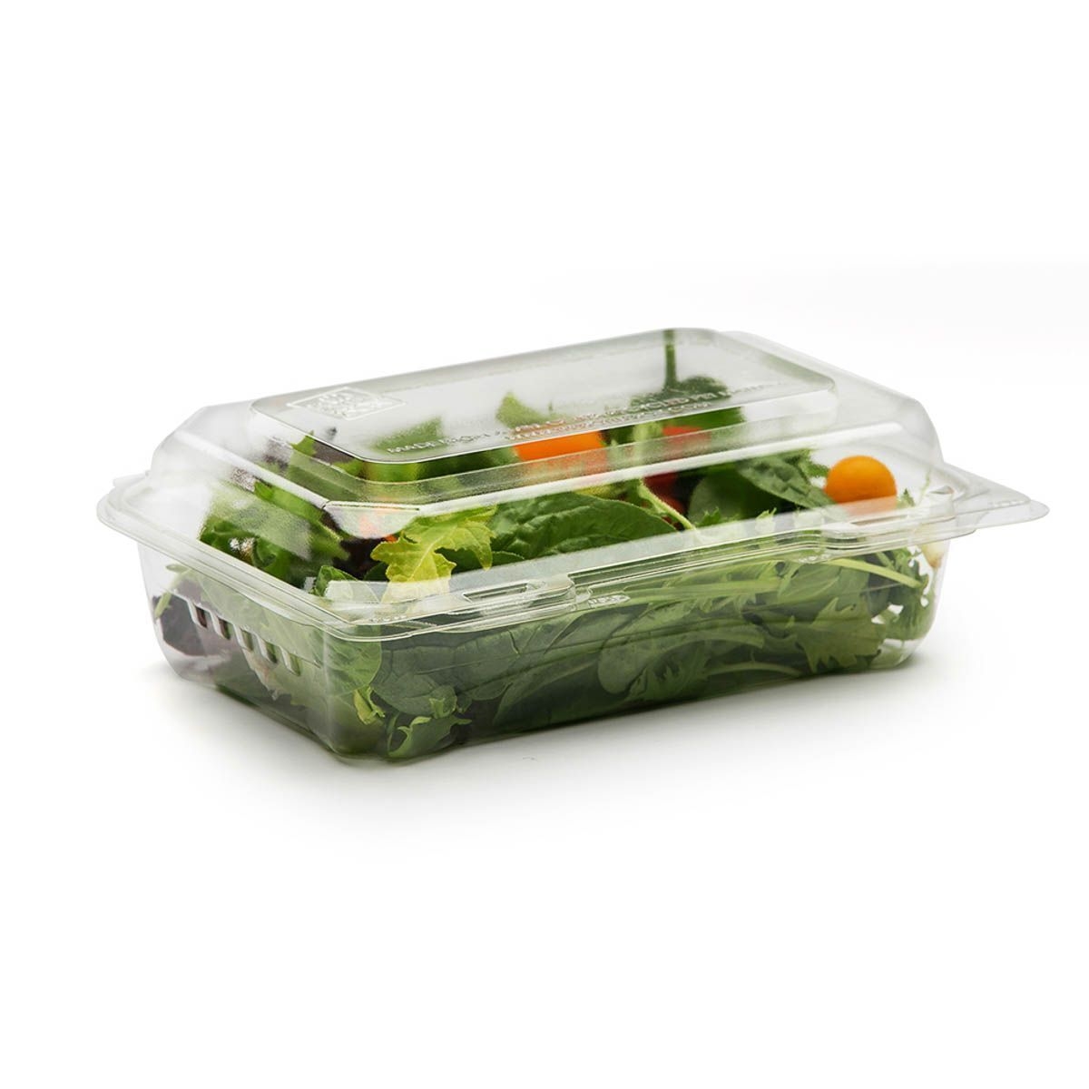 The BottleBox PET Clear One Piece Hinged Container, 8.60 x 6.60 x 2.96 inch -- 250 per case.