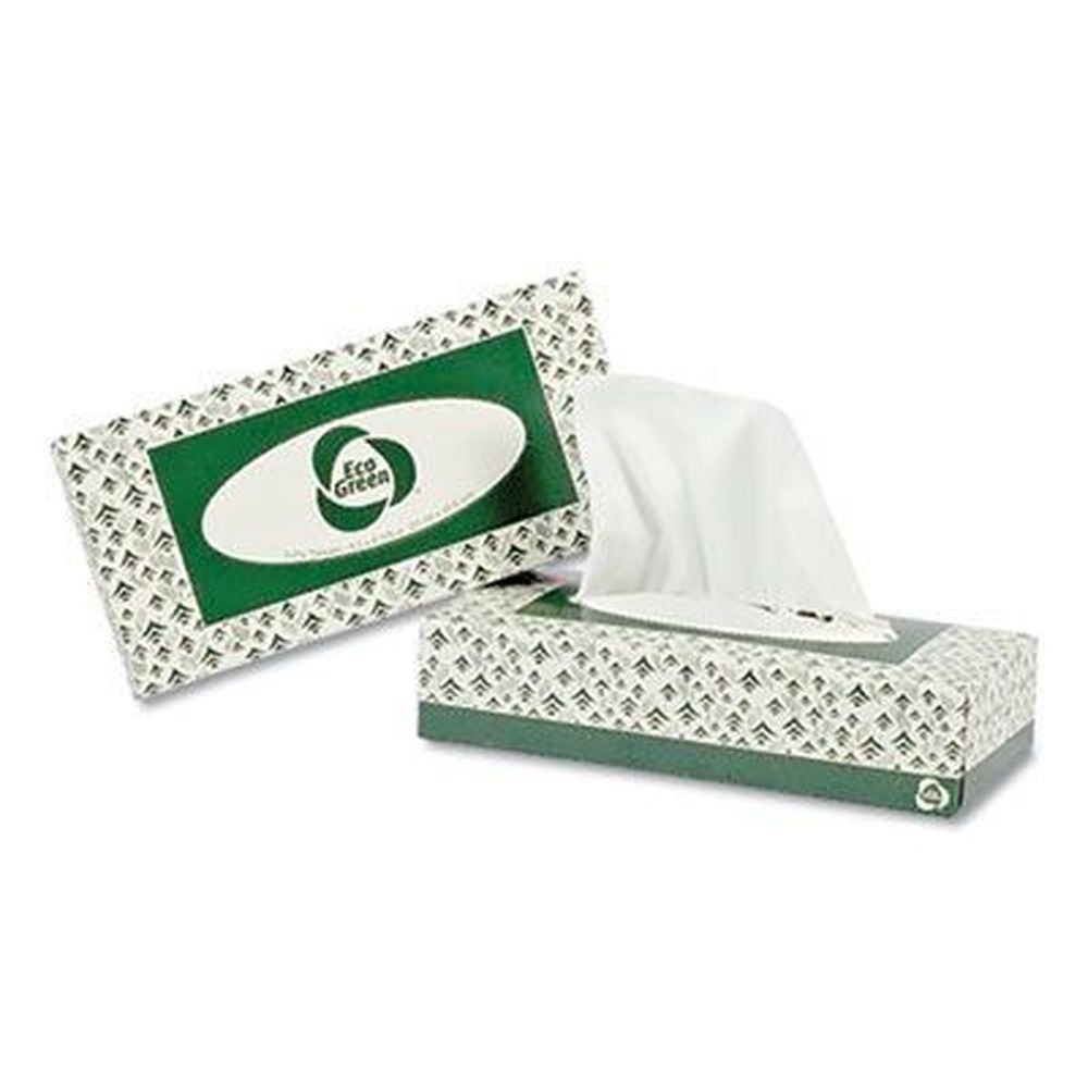 Eco Green White Recycled 2-Ply Facial Tissue - 150 sheets per box -- 20 boxes per case
