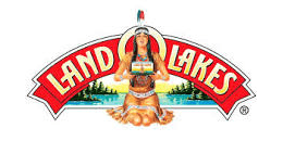 brand-image