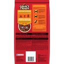 Gravy Train Beefy Classic Dry Dog Food, 3.5 Pound -- 4 per case.