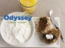 Odyssey 10 Percent Plain Greek Yogurt, 11 Pound