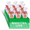 Bunnytail Lane Easter Cotton Candy, 3.1 Ounce -- 9 per case