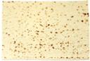 Atorias Super Thin Traditional Lavash, 4 Ounce -- 120 per case