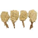 Singleton Seafood 16/20 Breaded Coconut Clean Tail Butterfly Shrimp -- 4 per case.