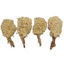 Singleton Coconut Clean Tail Butterfly Breaded Shrimp, 3 Pound -- 4 per case.