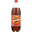 Sidral Mundet Apple flavored Soda, 1.5 Liter -- 8 per case