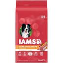 Iams Minichunks Lamb and Rice Recipe Dog Food, 3.3 Pound -- 4 per case