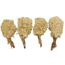 Tampa Bay Fisheries 8 to 12 Count Coconut Butterfly Breaded Shrimp, 3 Pound -- 4 per case