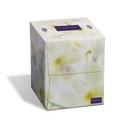 Embassy White 2-Ply Cube Facial Tissue, 100 count -- 36 per case