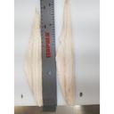 Freshwater Fish Individually Quick Frozen 4-6 Ounce Skinless Walleye Fillet, 11 Pound