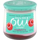 Oui By Yoplait Dairy Free Raspberry Yogurt, 5 Ounce -- 8 per case