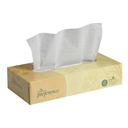 Preference White Facial Tissue, 100 count