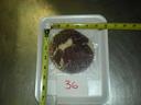 Extra Value Tenderized Ribeye Beef Steak, 20 Pieces of 8 Ounce, 10 Pound.