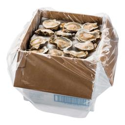 Product thumb gallery 1448024