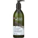 Avalon Lavender Hand and Body Lotion, 12 Ounce -- 6 per case