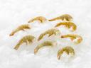 Harbor Seafood Headless Shell On Black Tiger Shrimp, 4 Pound -- 6 per case.