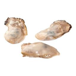 Product thumb gallery 3767676